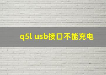 q5l usb接口不能充电